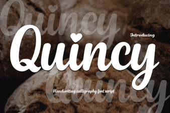 Quincy Font for Modern Web Design Projects